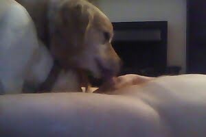 sex in farm, gay zoo porn, videos zoofilia hd, free animal porn, dog, fuck, zoo orgy, animal sex, zoo sex, animal sex, zoo porn, animal porn, zoofilia, bestiality