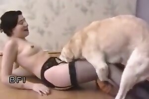 лошадиное порно,сосание